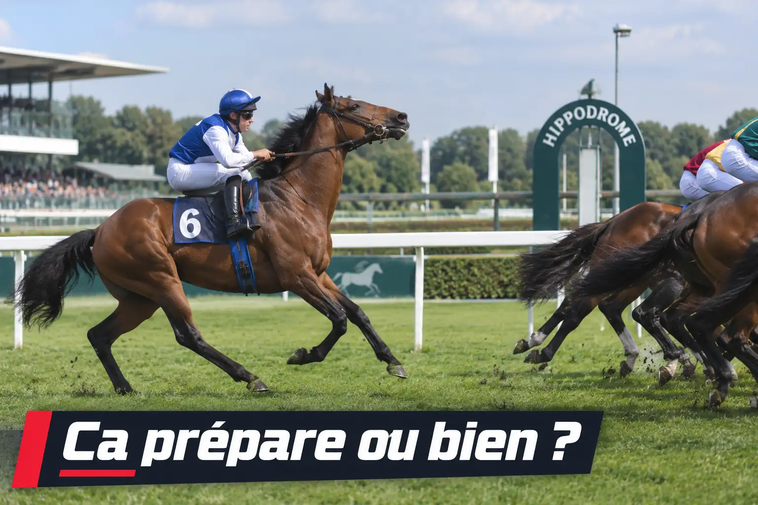 Cheval ayant pris des kilos